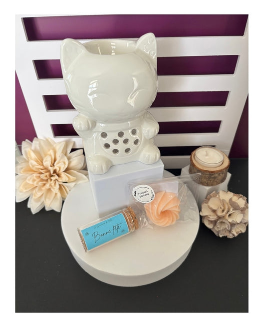 Coffret Brûle-parfum Série Céramy - Tommy /Fondant/Allumettes